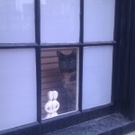 Melierte Katze im Fenster eines Stadthauses beim Spital Field Market